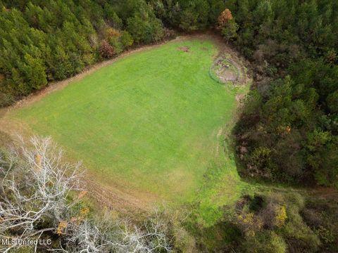 Vacant Land For Sale - 3448 Lower Centreville Road<br/> Amite County, Liberty, MS 39645