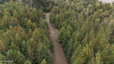 Vacant Land For Sale - Mitchell Road<br/> Leflore County, Greenwood, MS 38930