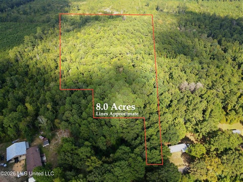 Vacant Land For Sale - Blanchard Lane<br/> Silver Creek, MS 39663