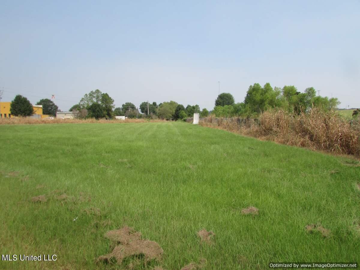 Feather Lane Lane, Canton, Mississippi image 1