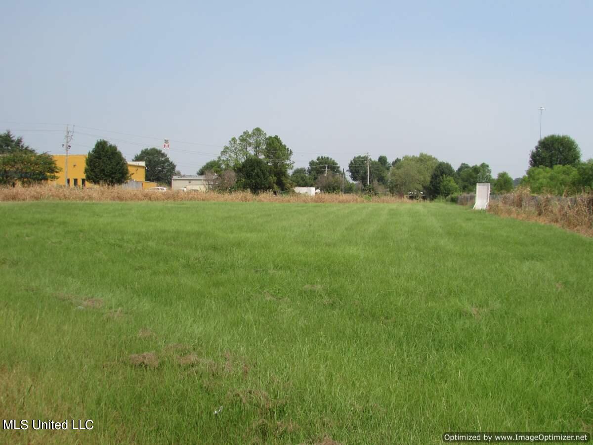 Feather Lane Lane, Canton, Mississippi image 3