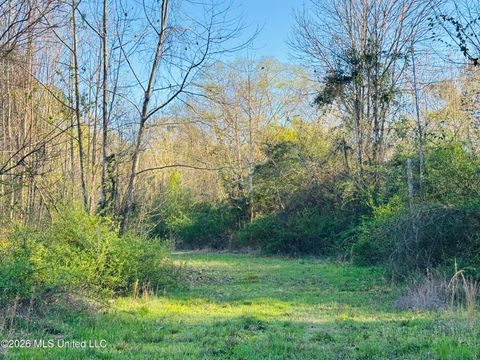 Vacant Land For Sale - 8525 State Boulevard<br/> Lauderdale County, Meridian, MS 39305