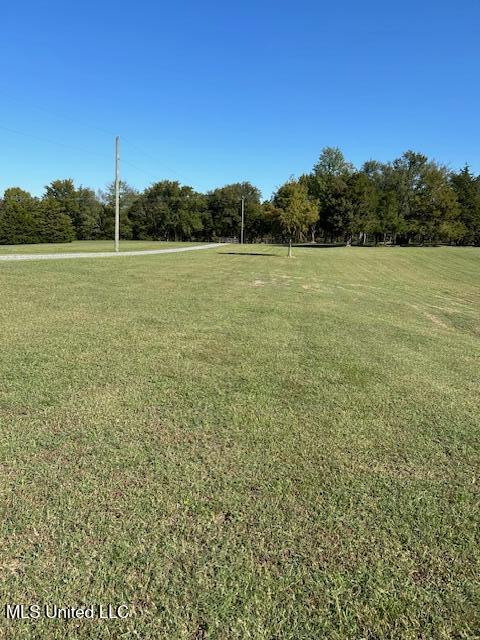 9264 Peyton Road, Coldwater, Mississippi image 3