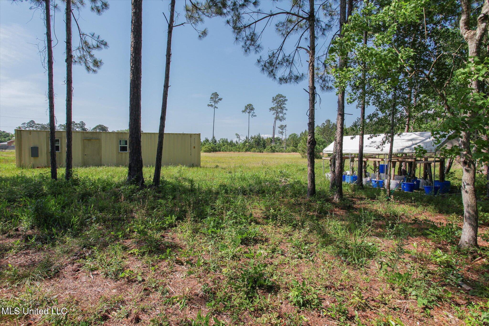 5610 Lower Bay Road, Bay Saint Louis, Mississippi image 11