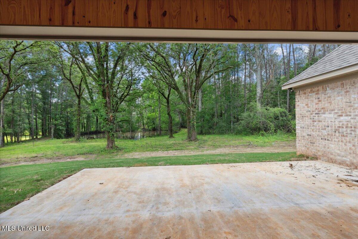 213 Walter Jones Road, Mendenhall, Mississippi image 22