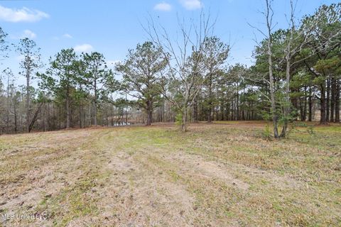 Vacant Land For Sale - 20+/-AC Summerour Road<br/> Lucedale, MS 39452