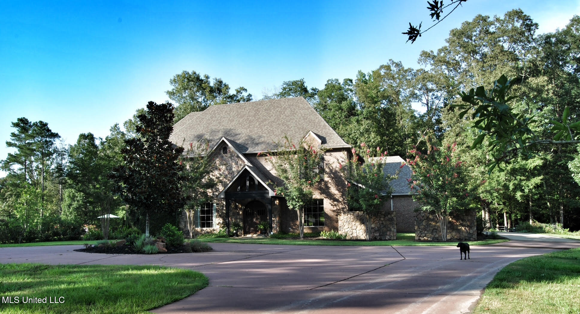171 Brookstone Way, Madison, Mississippi image 1