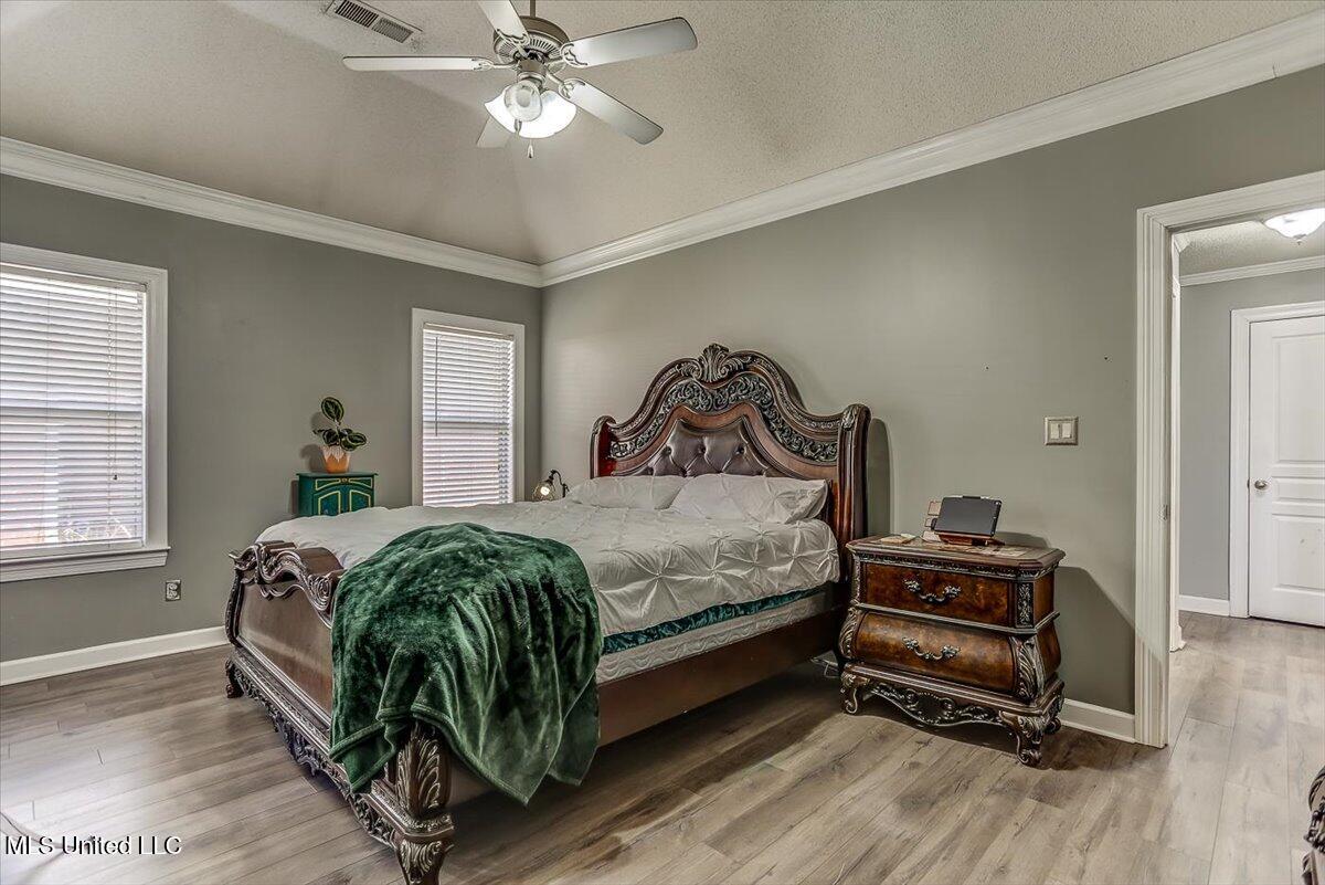 53 W Pebble Creek Cove, Hernando, Mississippi image 19