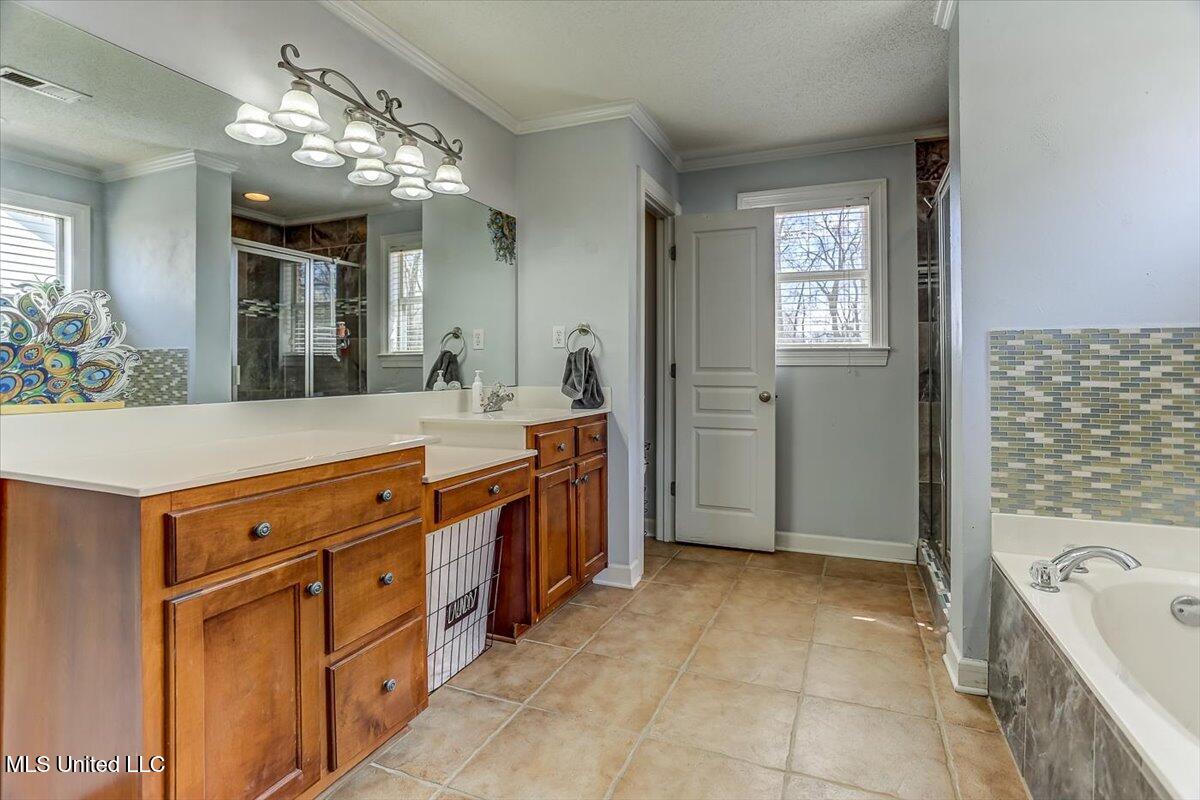 53 W Pebble Creek Cove, Hernando, Mississippi image 23