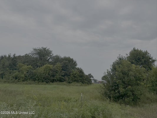 BAYLOR RD, SENATOBIA, MS 38668 - Image 02af56e6a1c65b54c7f5fa19bb6c2b63/1103044932