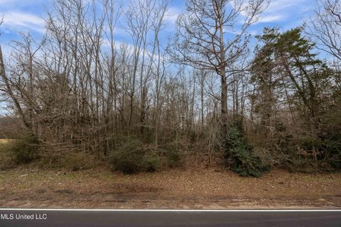 Vacant Land For Sale - 0000 Halls Ferry Road<br/> Warren County, Vicksburg, MS 39180
