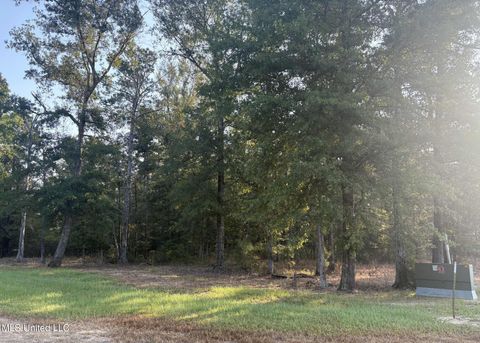 Vacant Land For Sale - 00 Shire Avenue<br/> Forest, MS 39074
