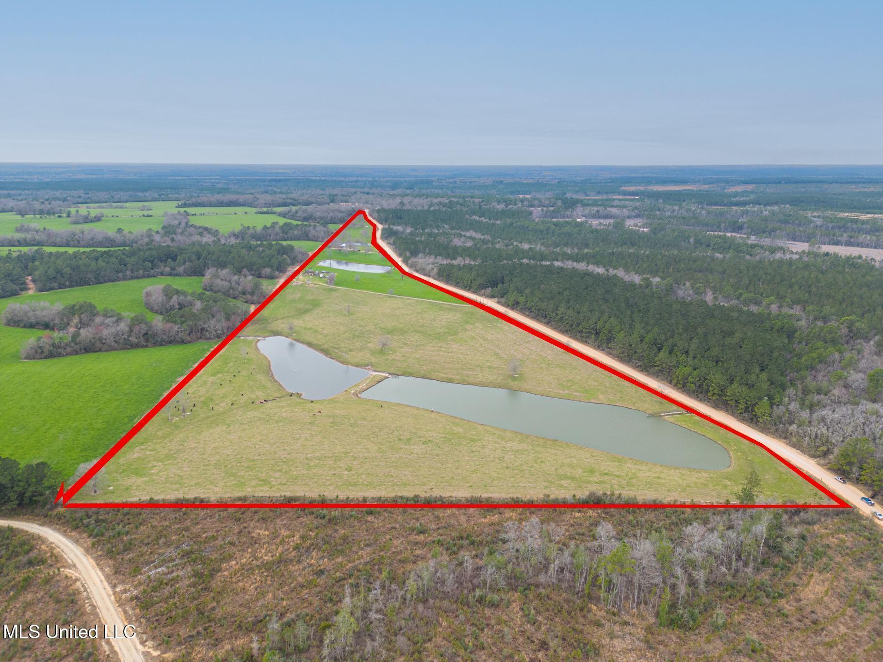 27285 Mchenry Road, Saucier, Mississippi image 17