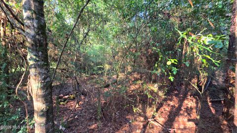Vacant Land For Sale - Carolina Street<br/> Franklin County, Roxie, MS 39661