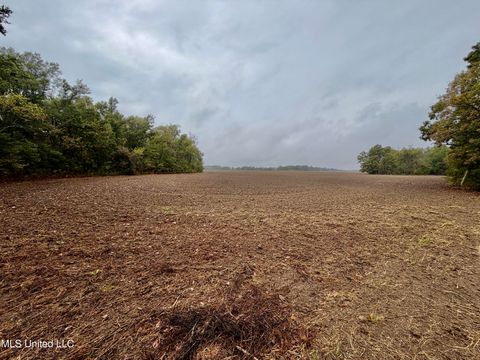 Vacant Land For Sale - Youngblood Road<br/> Dundee, MS 38626
