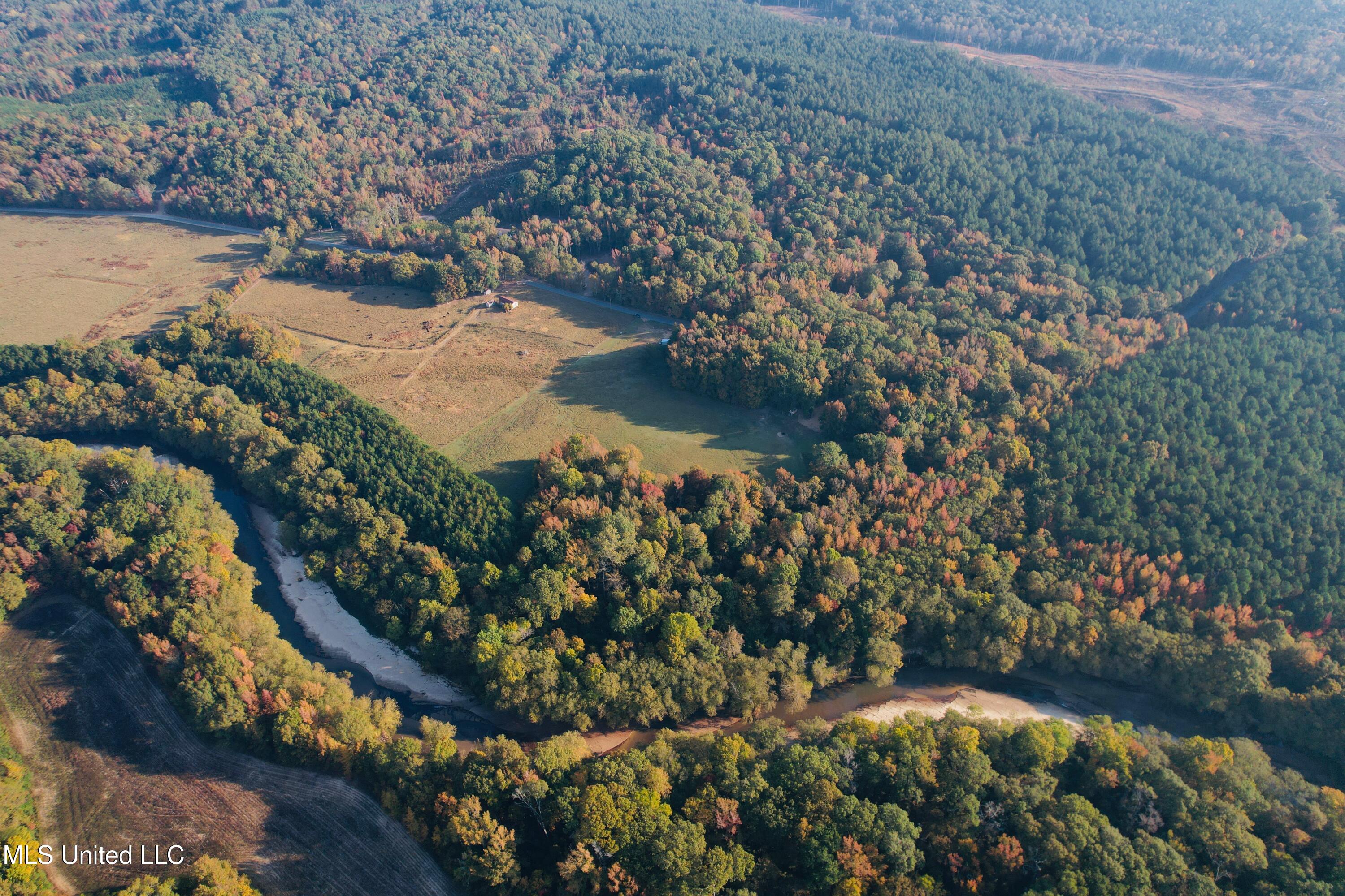 963 Grant Road Road, Grenada, Mississippi image 11