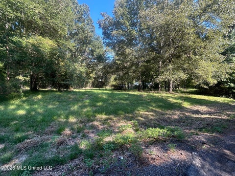 Vacant Land For Sale - 323 Upper Kingston Road<br/> Natchez, MS 39120