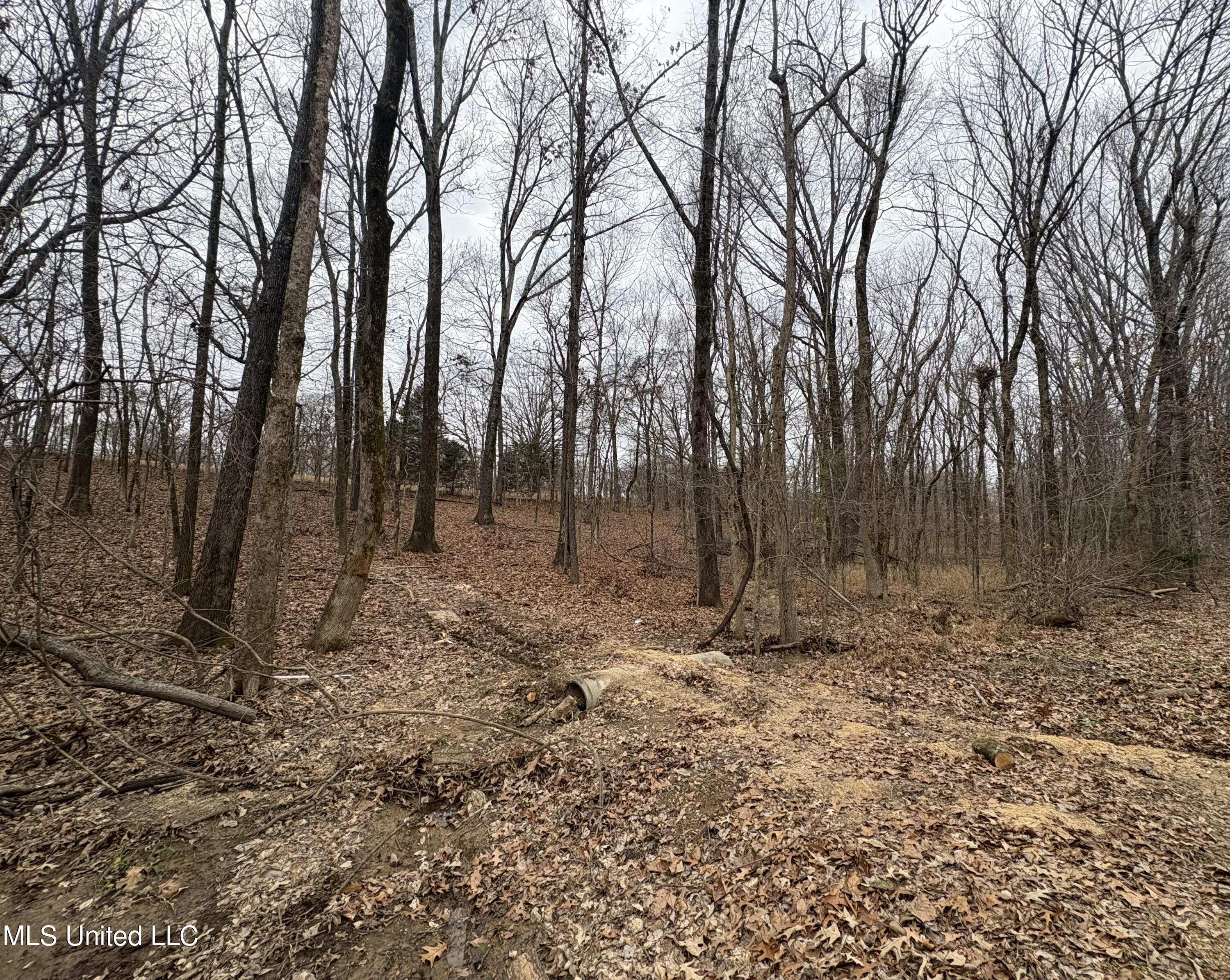 Hidden Valley Road, Coldwater, Mississippi image 1