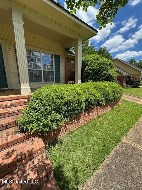 214 Boxwood Circle, Brandon, Mississippi image 5