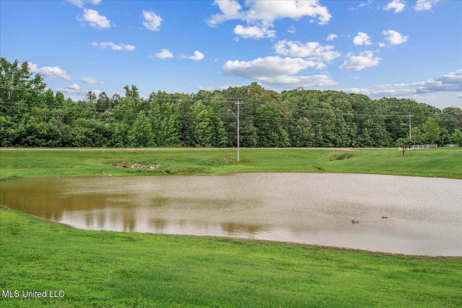 4943 W Margarette Circle, Olive Branch, Mississippi image 32