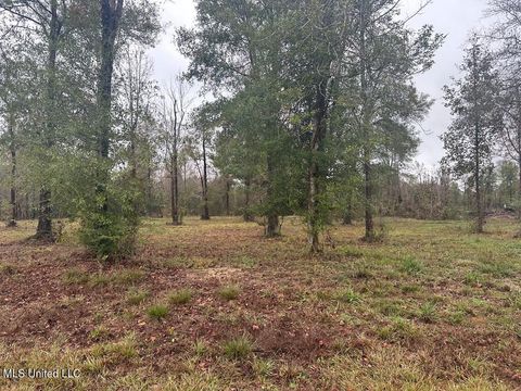 Vacant Land For Sale - Bent Creek<br/> Picayune, MS 39466
