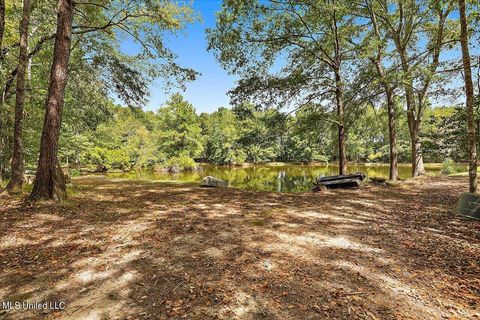 Homes For Sale - 2568 Highway 481<br/> Raleigh, MS 39153