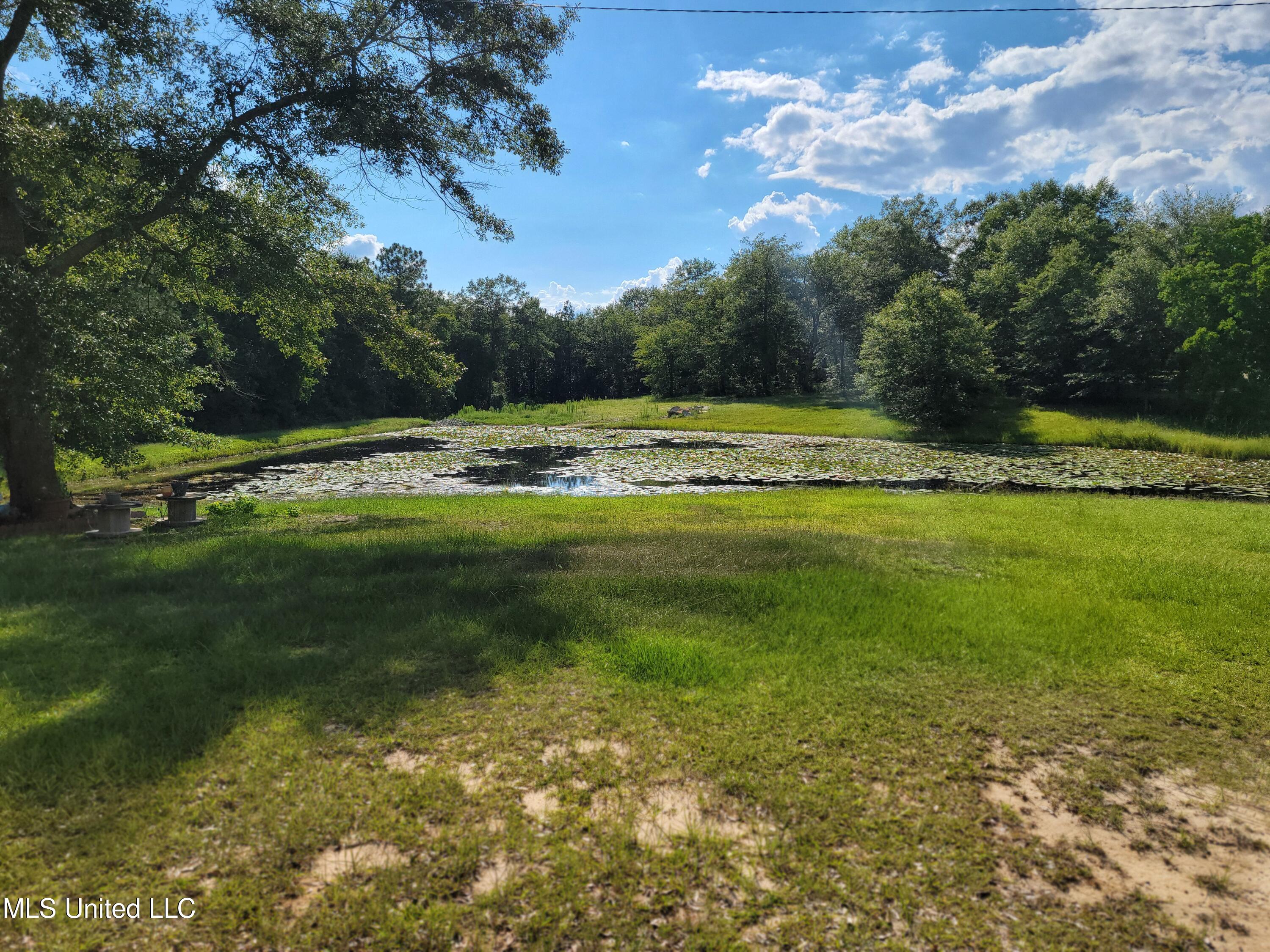 18320 Diamond Road, Saucier, Mississippi image 11