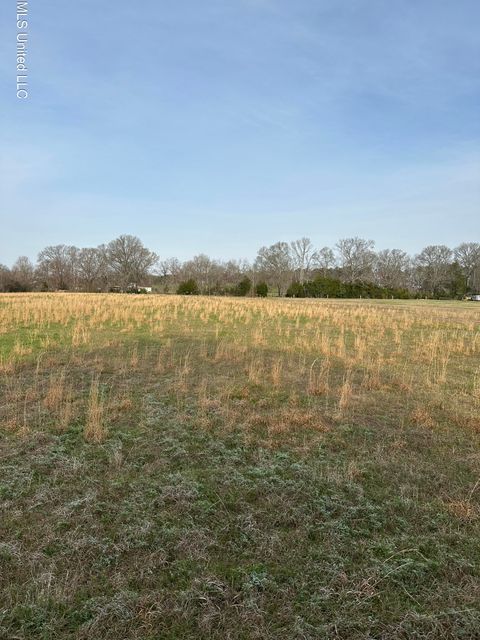 Vacant Land For Sale - Ms-469<br/> Florence, MS 39073