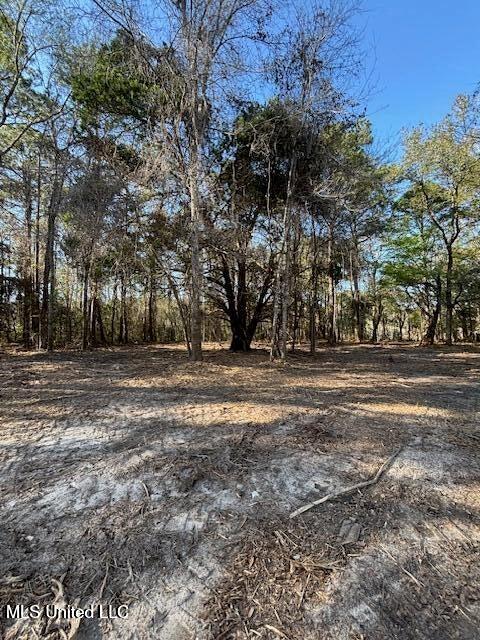 11900 Johns Bayou Road, Vancleave, Mississippi image 6