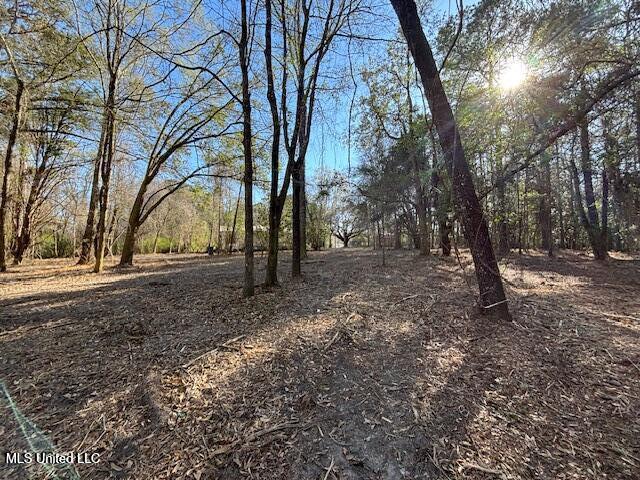 11900 Johns Bayou Road, Vancleave, Mississippi image 16