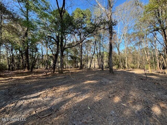 11900 Johns Bayou Road, Vancleave, Mississippi image 17