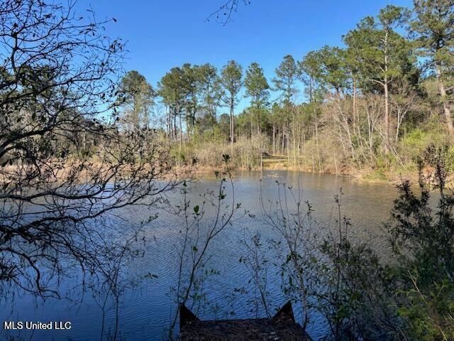 11900 Johns Bayou Road, Vancleave, Mississippi image 4