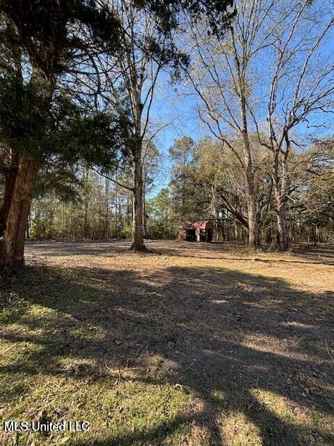 11900 Johns Bayou Road, Vancleave, Mississippi image 5