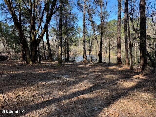 11900 Johns Bayou Road, Vancleave, Mississippi image 1