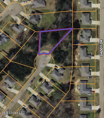 Forbes Drive, Byram, Mississippi image 1