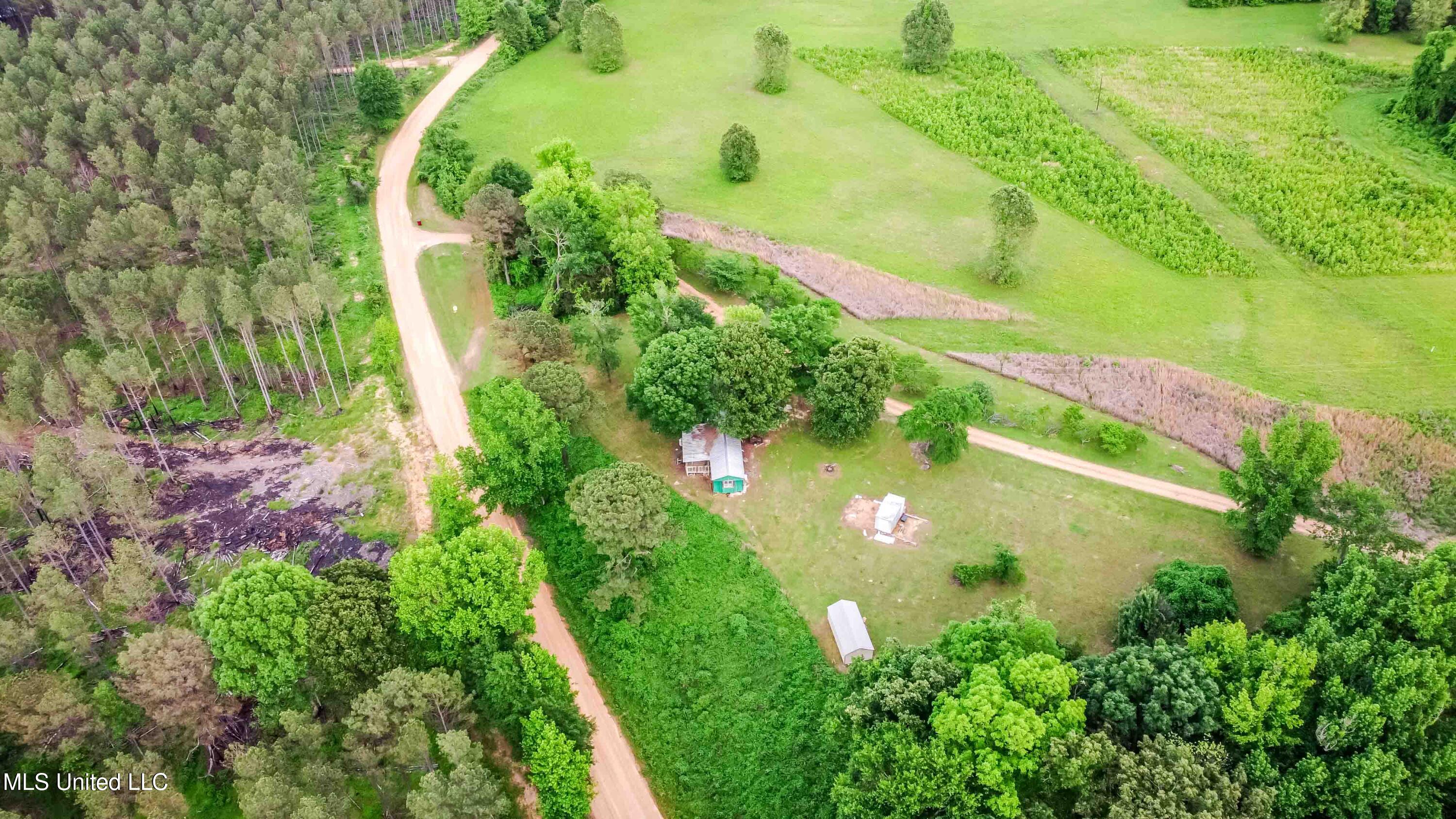 5970 Edwards Drive, Oakland, Mississippi image 20
