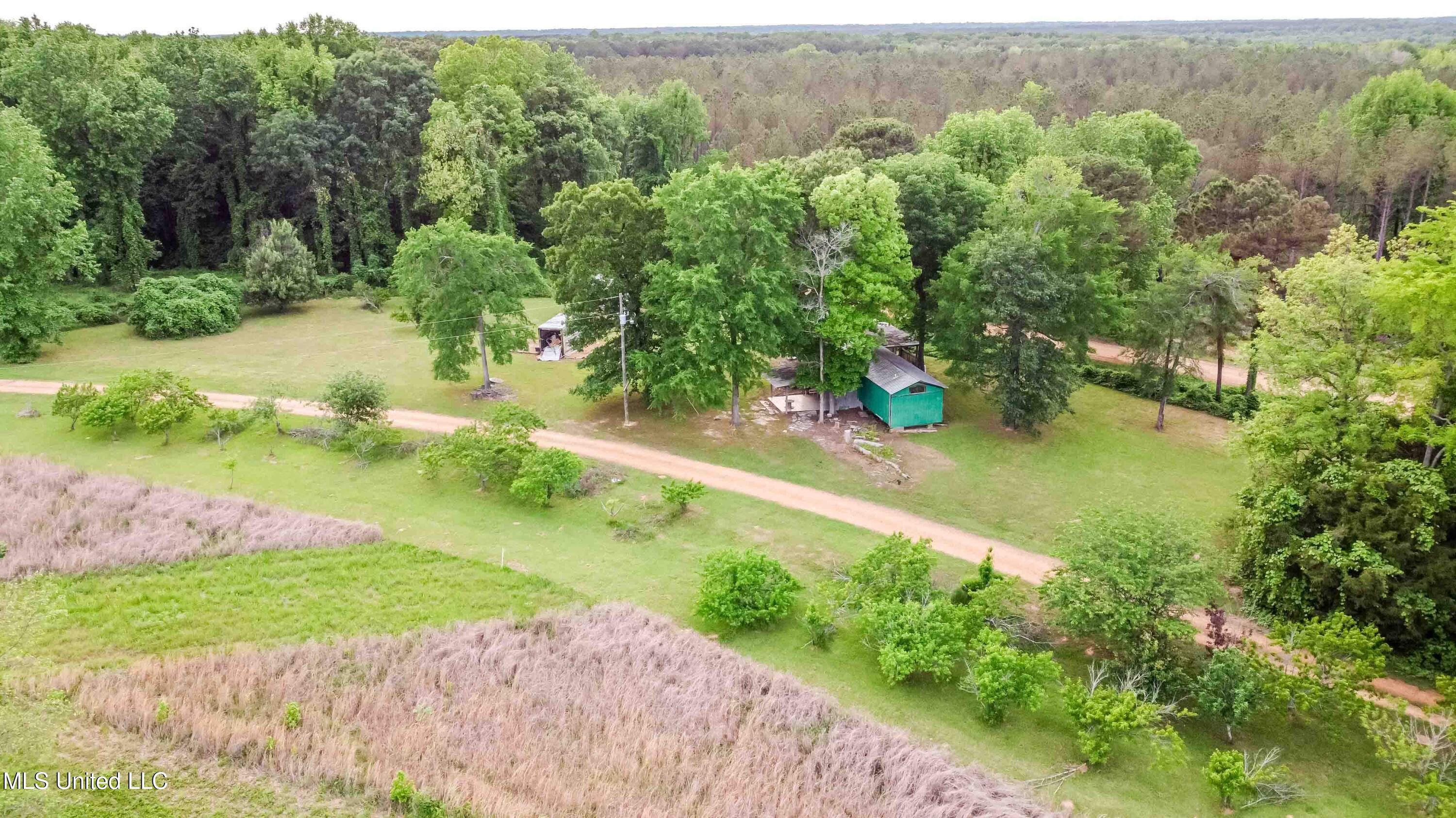 5970 Edwards Drive, Oakland, Mississippi image 16