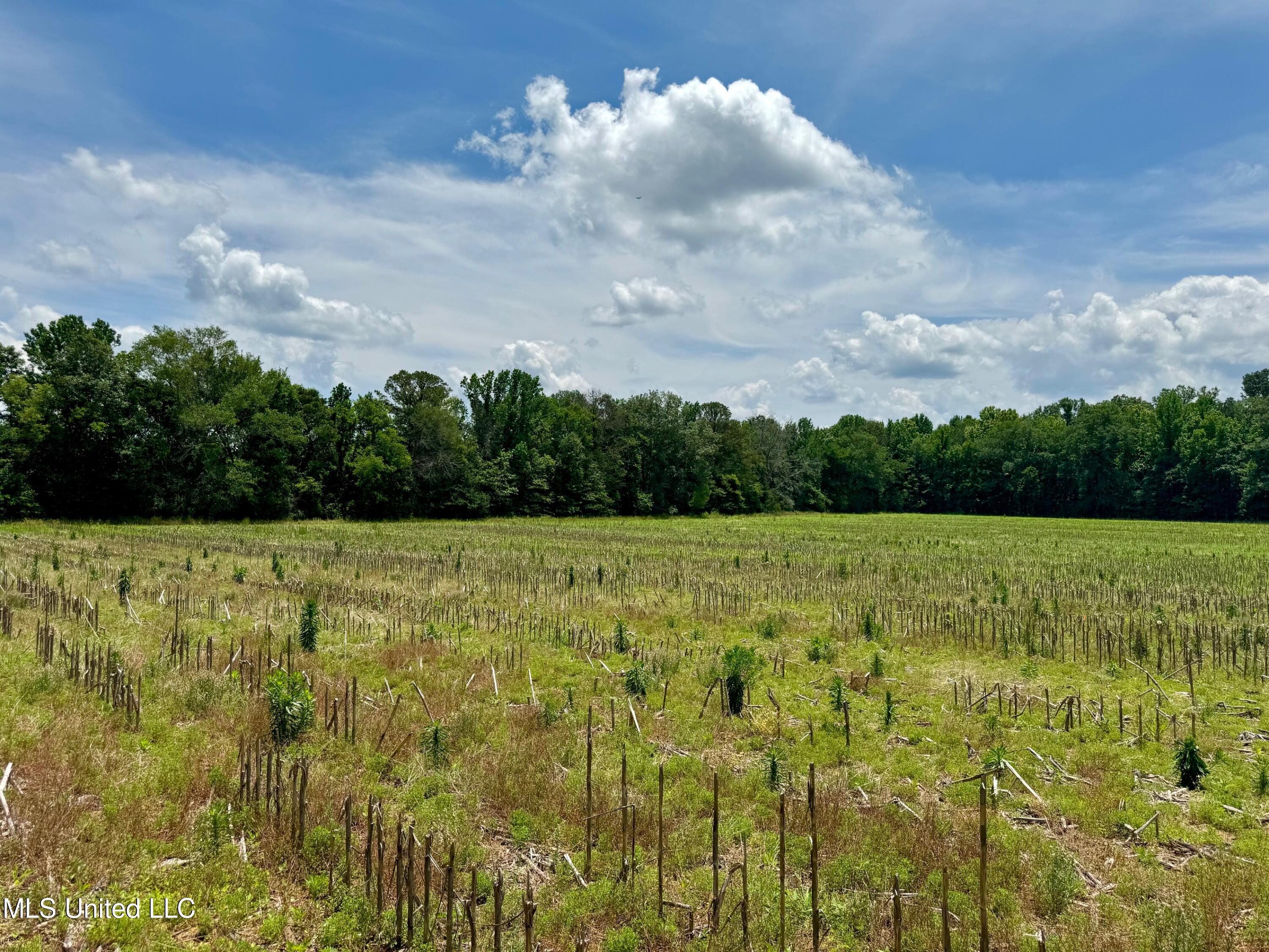 Renfroe Rd, Canton, Mississippi image 5