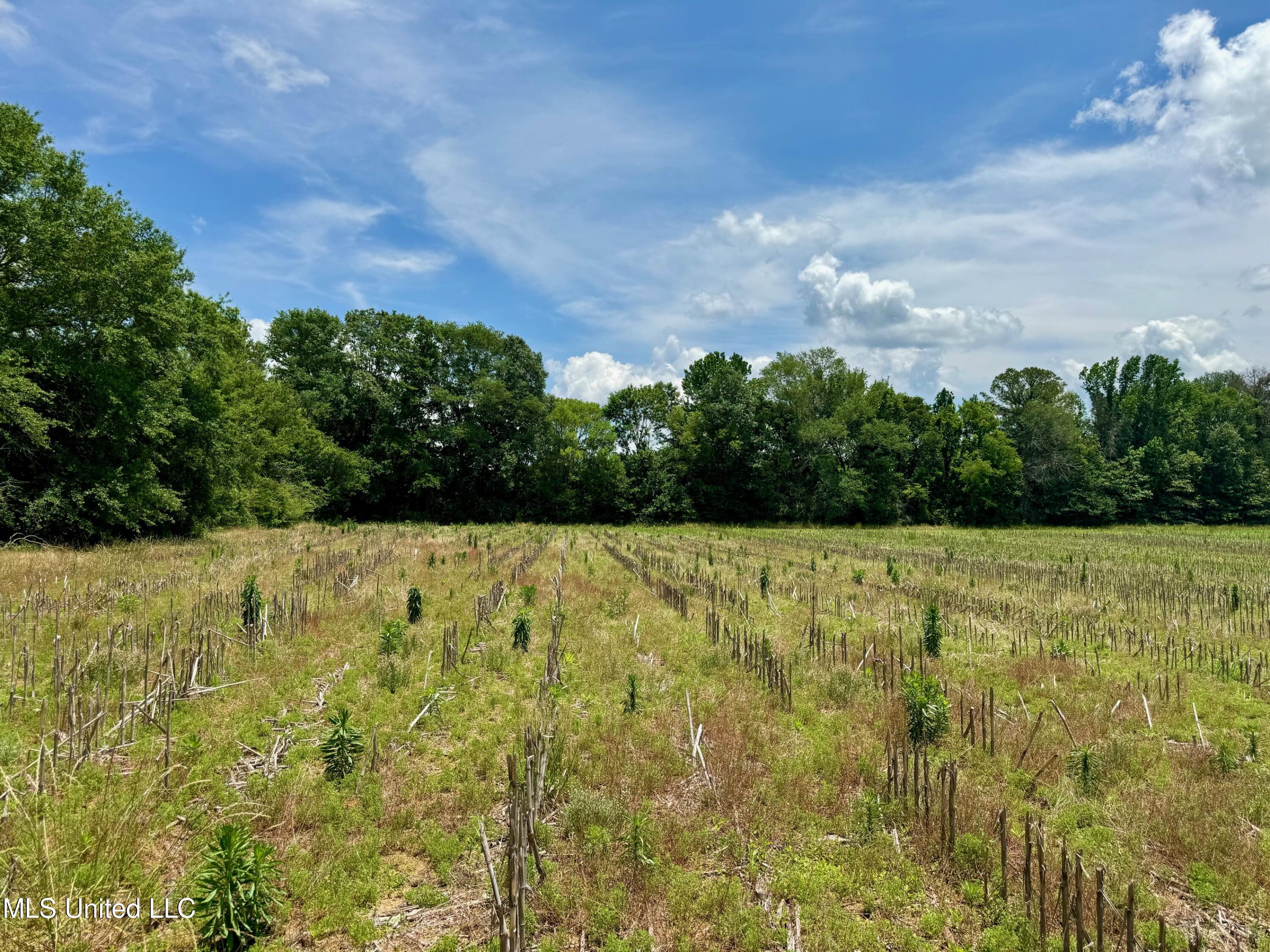 Renfroe Rd, Canton, Mississippi image 3