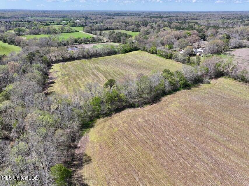 Renfroe Rd, Canton, Mississippi image 18