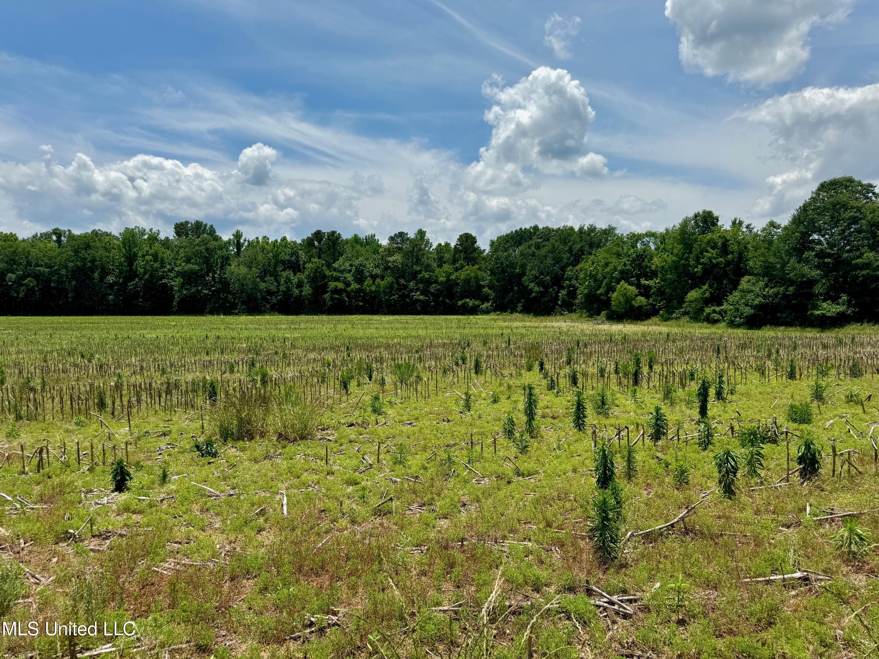 Renfroe Rd, Canton, Mississippi image 4