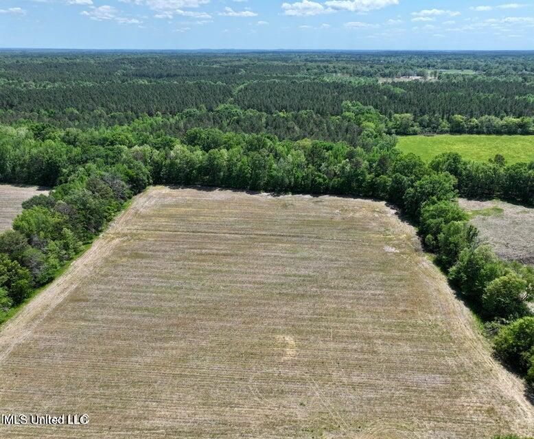 Renfroe Rd, Canton, Mississippi image 8