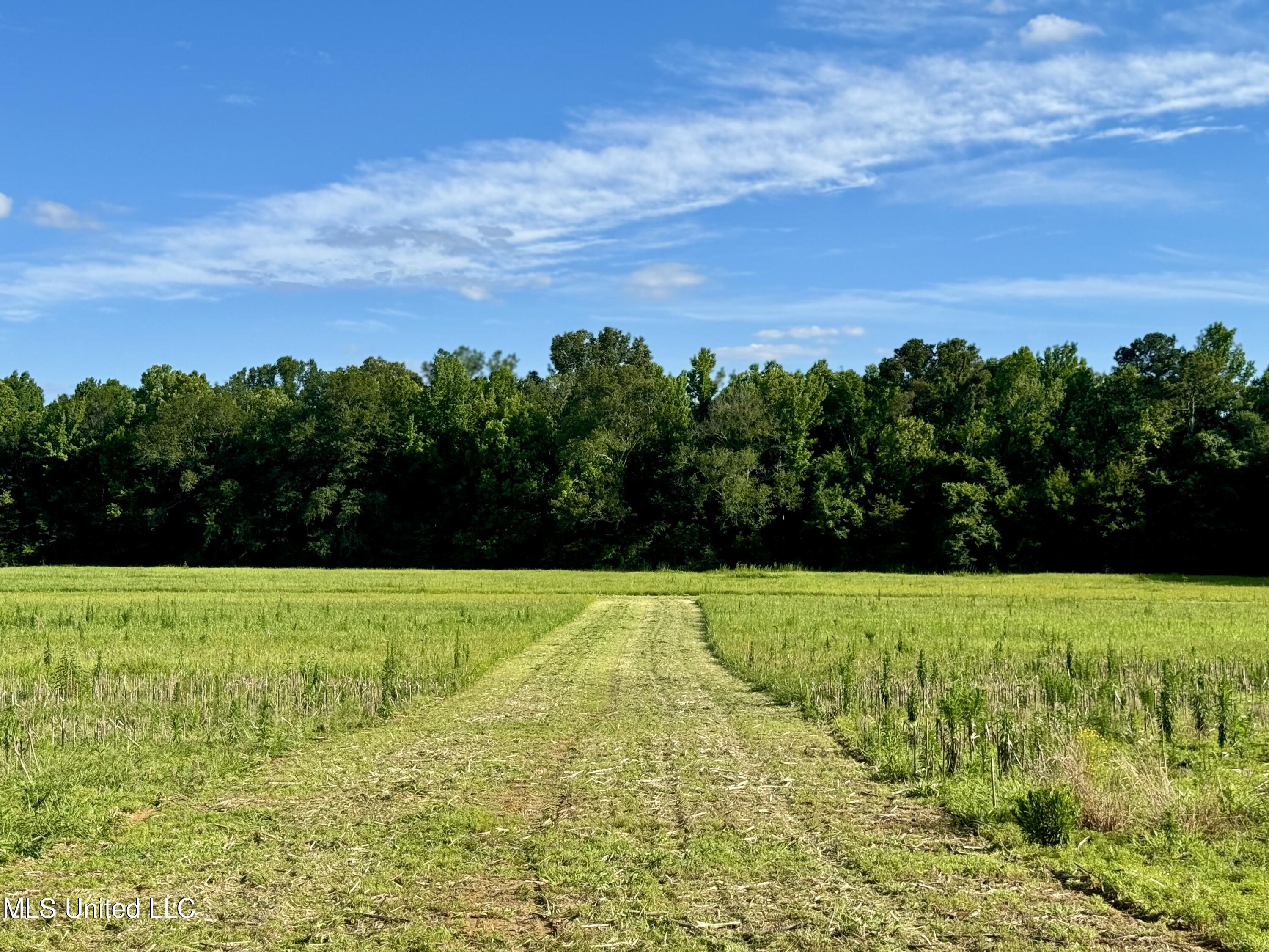 Renfroe Rd, Canton, Mississippi image 1