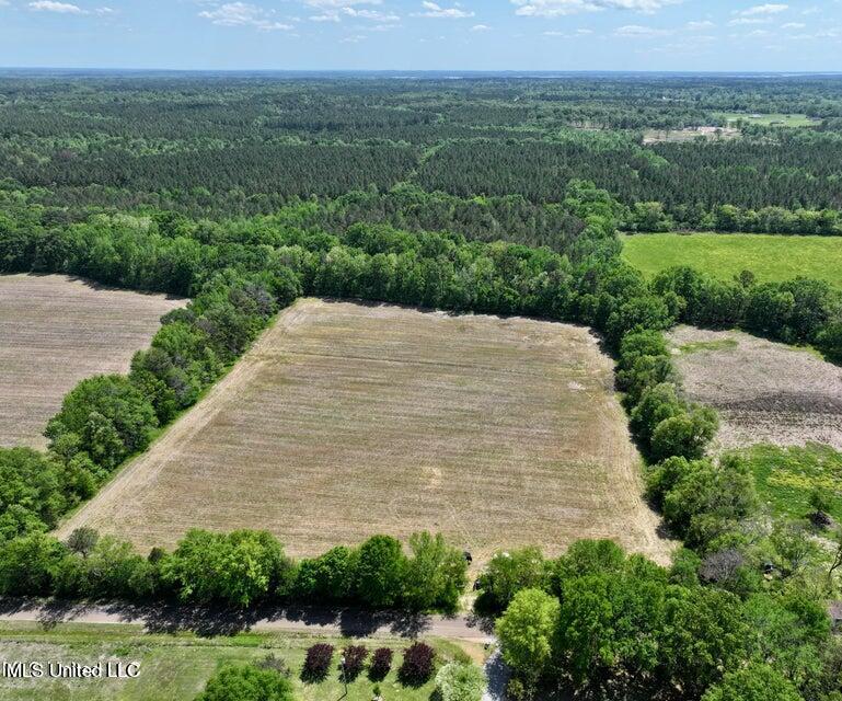 Renfroe Rd, Canton, Mississippi image 9