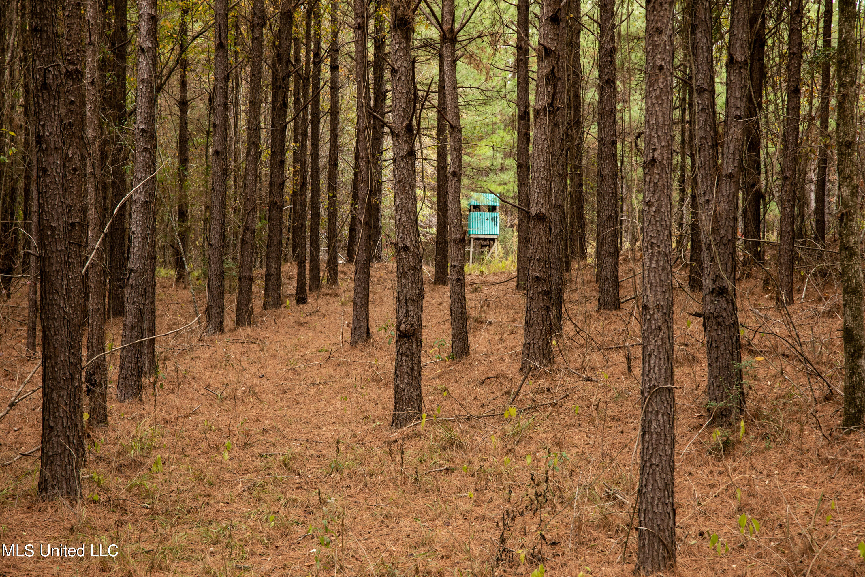 Union Road, Hazlehurst, Mississippi image 21