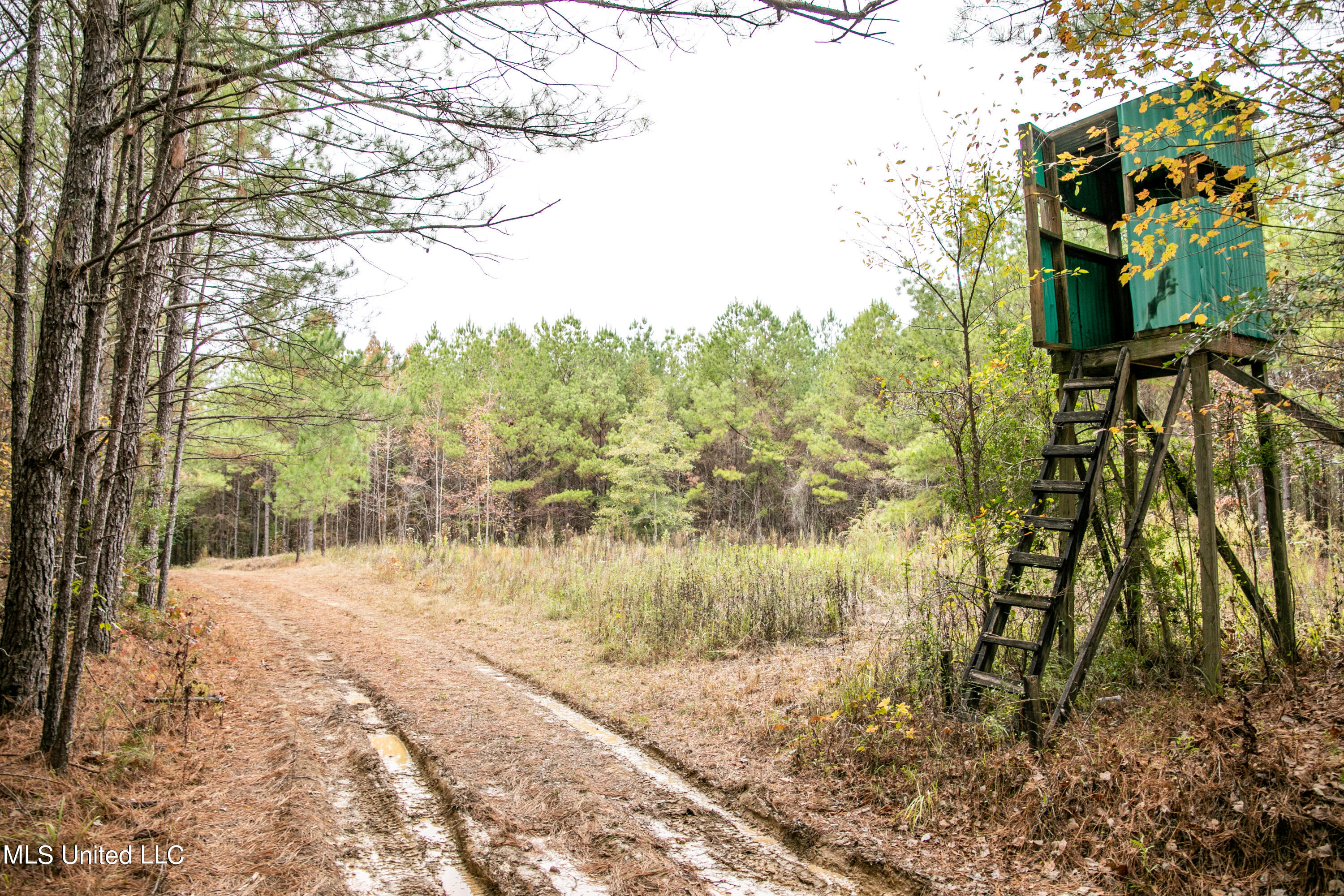 Union Road, Hazlehurst, Mississippi image 2