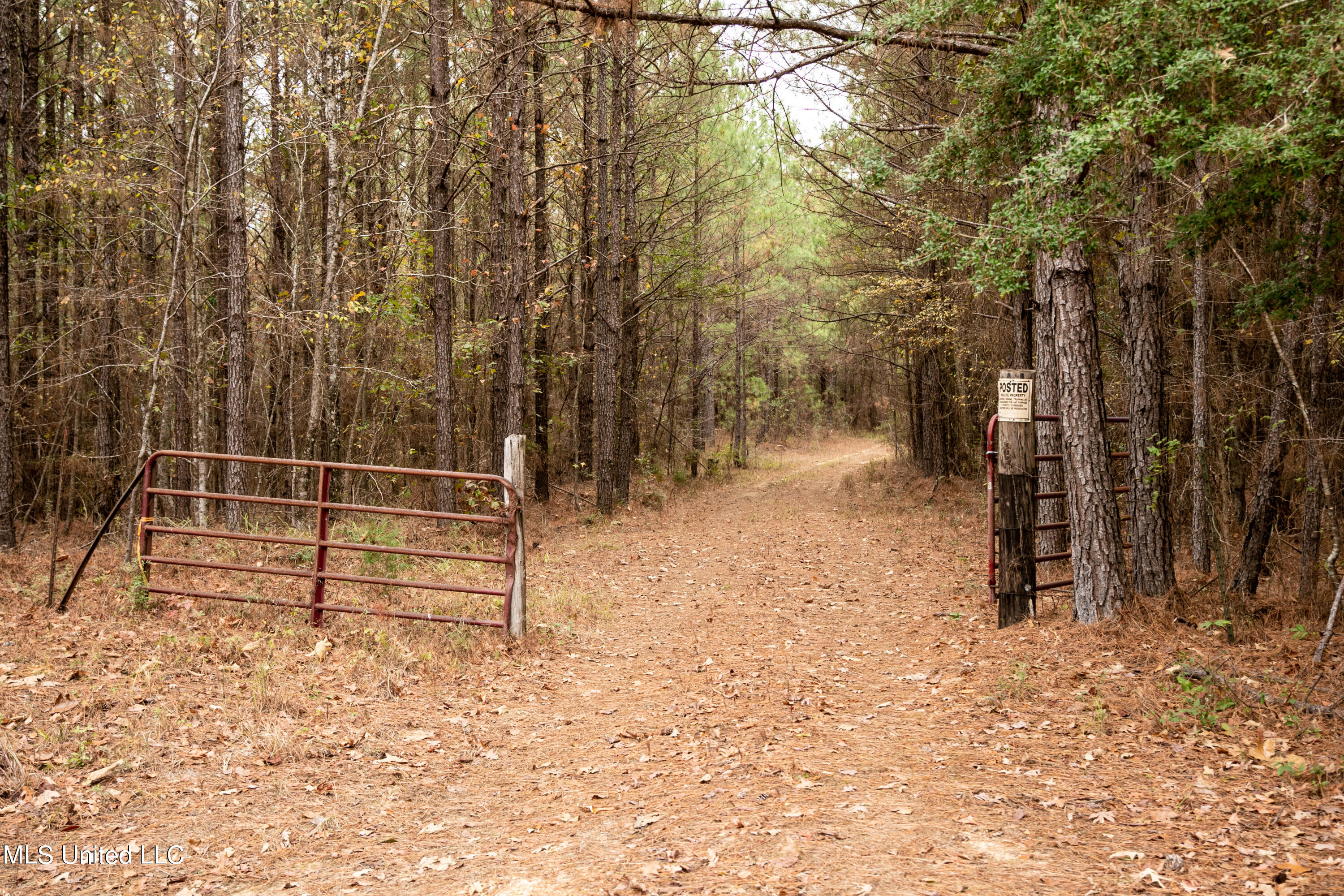 Union Road, Hazlehurst, Mississippi image 1