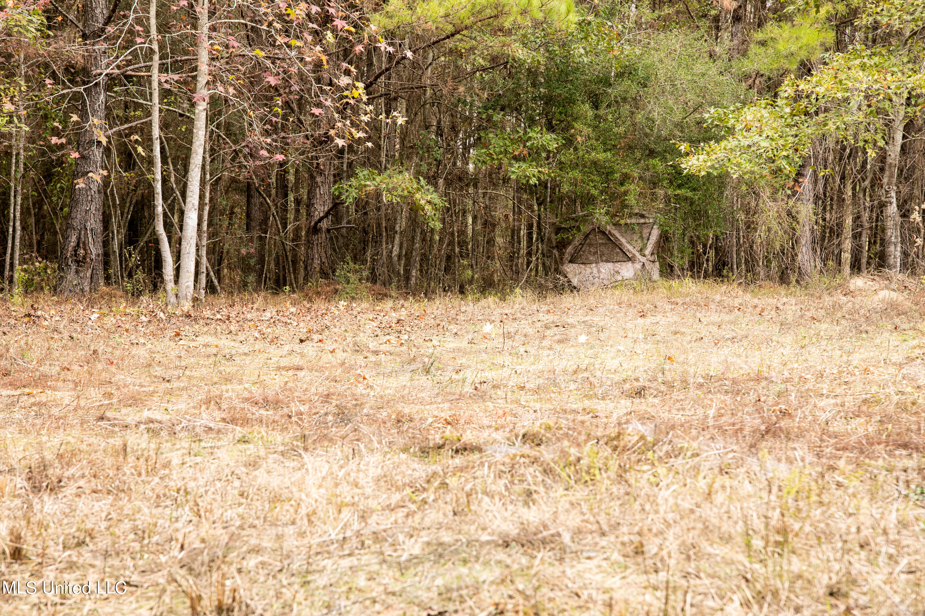 Union Road, Hazlehurst, Mississippi image 18