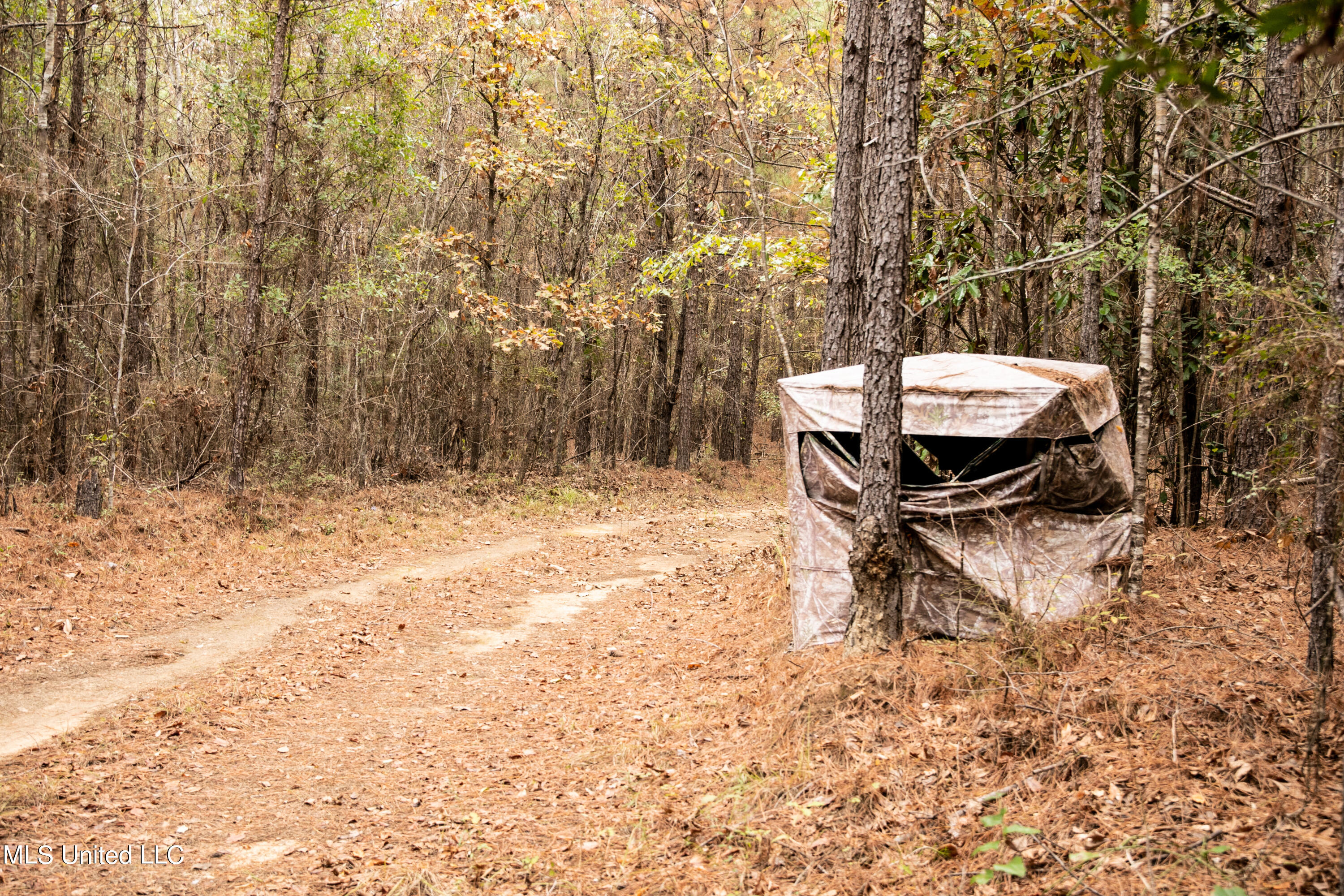 Union Road, Hazlehurst, Mississippi image 14