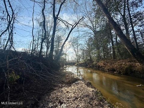 Vacant Land For Sale - Pecan Orchard Road<br/> Amite County, Liberty, MS 39645